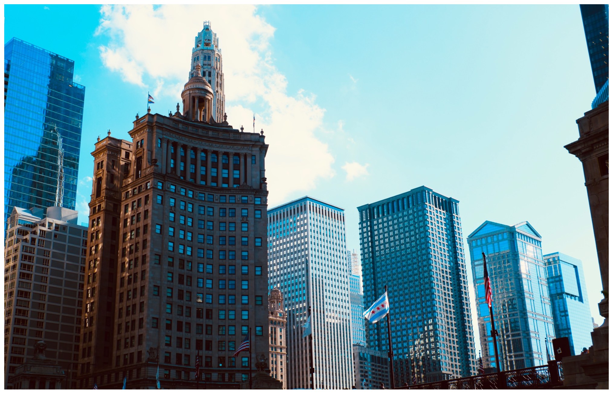 Chicago portfolio cover image